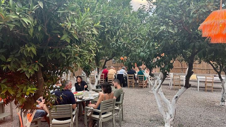 Ana fotoğraf