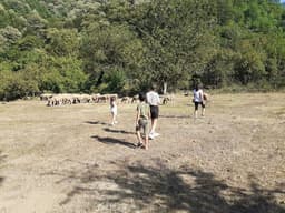 Yorum fotoğrafı 3