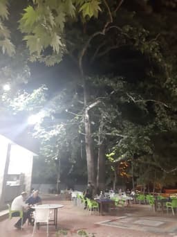 Yorum fotoğrafı 3