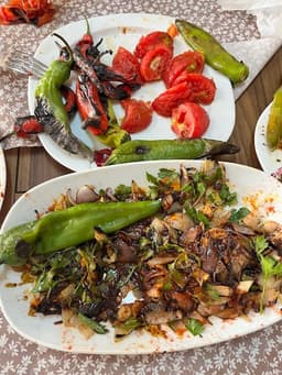 Yorum fotoğrafı 1