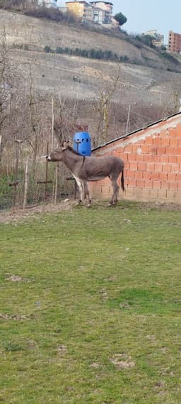 Yorum fotoğrafı 3
