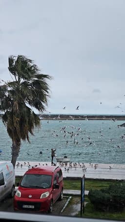 Yorum fotoğrafı 1